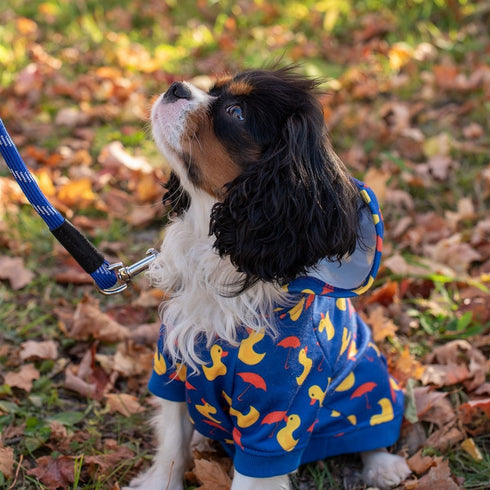 Shedrow K9 Canmore Dog Hoodie M Rubber Duck - Poudre Pet & Feed Supply 7